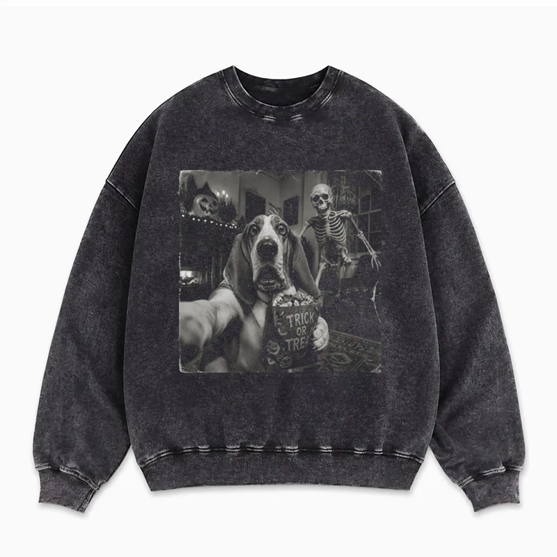 Scared Basset Hound Sweatshirt