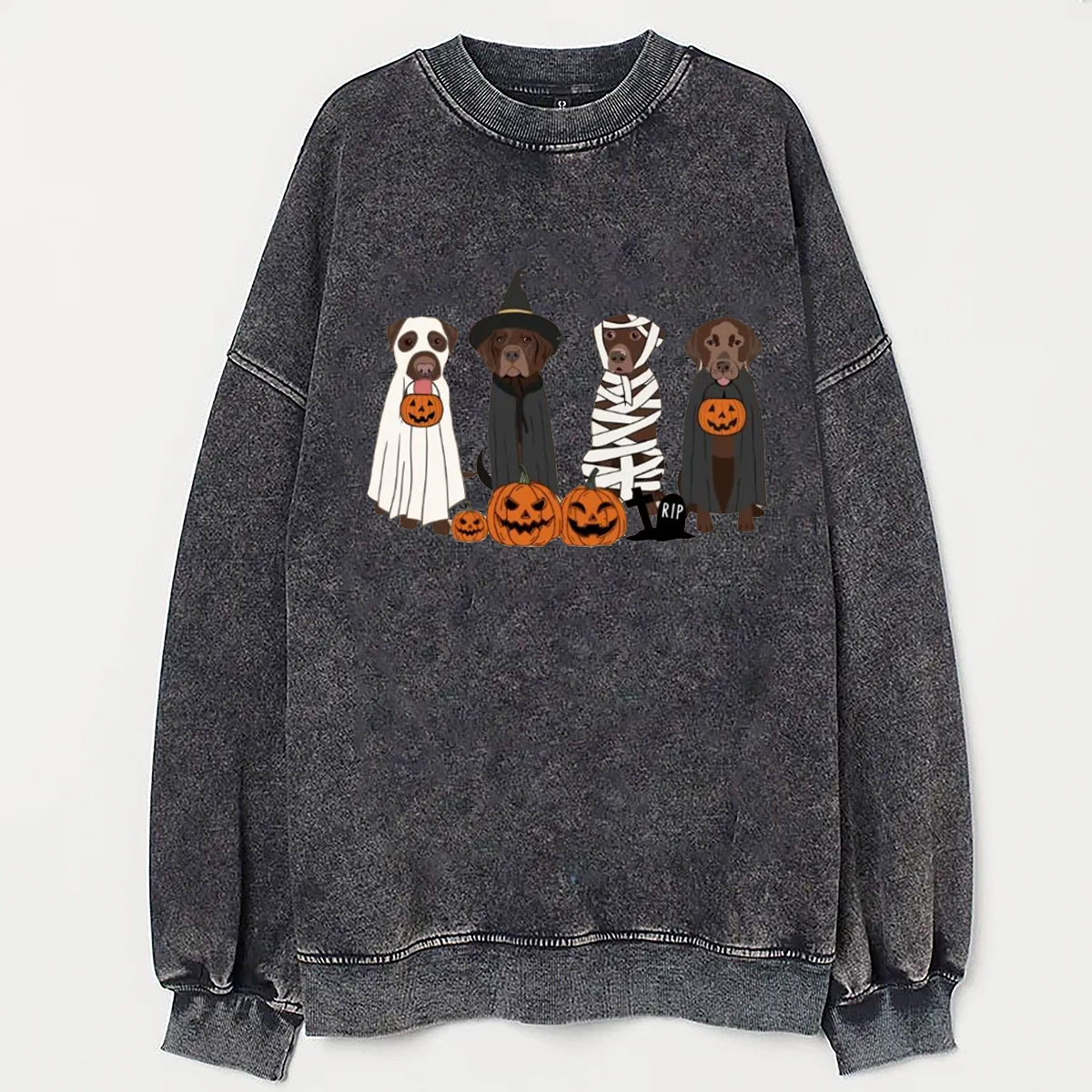 Brown Labrador Halloween Sweatshirt