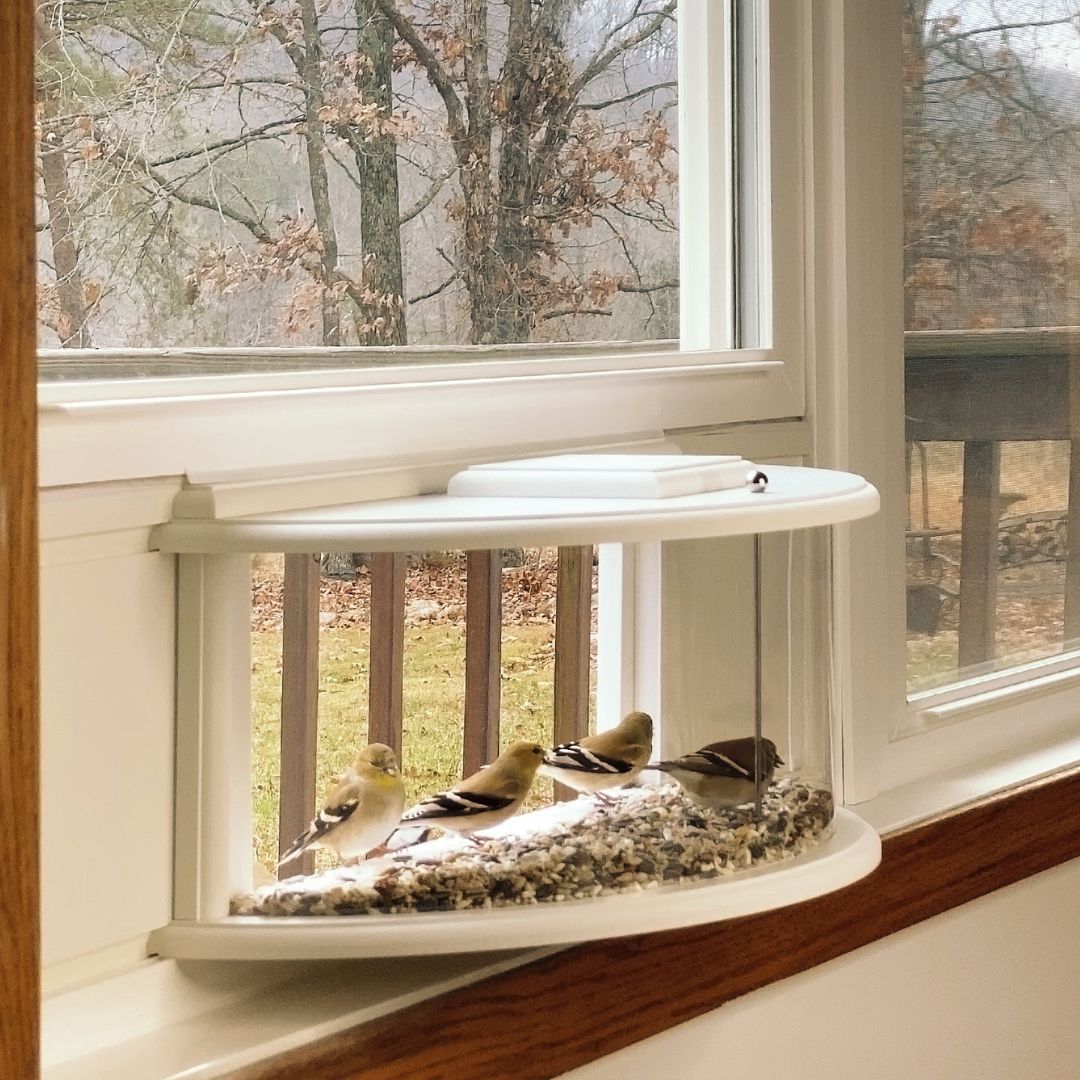 Clear View Window Tray Bird Feeder