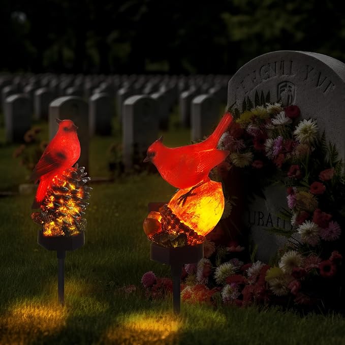 Cardinal Solar Buried Light