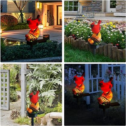 Cardinal Solar Buried Light