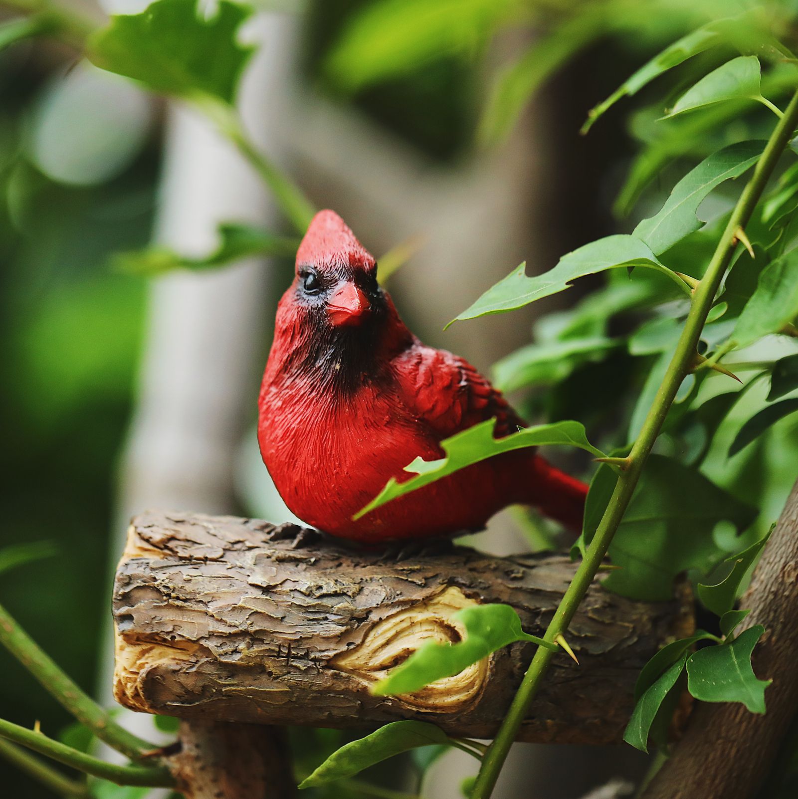 Cardinal Resin Statue | Tree Hugger | Hand Painted Art