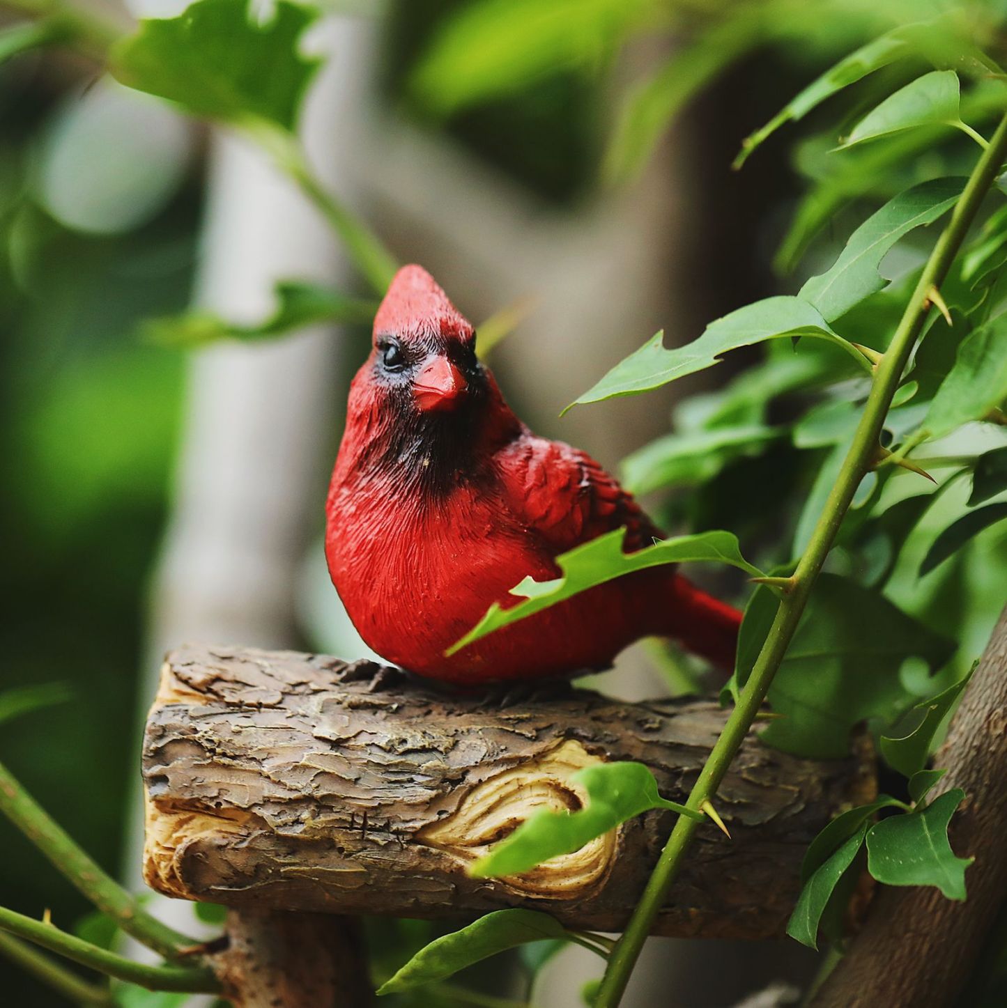 Cardinal Resin Statue | Tree Hugger | Hand Painted Art