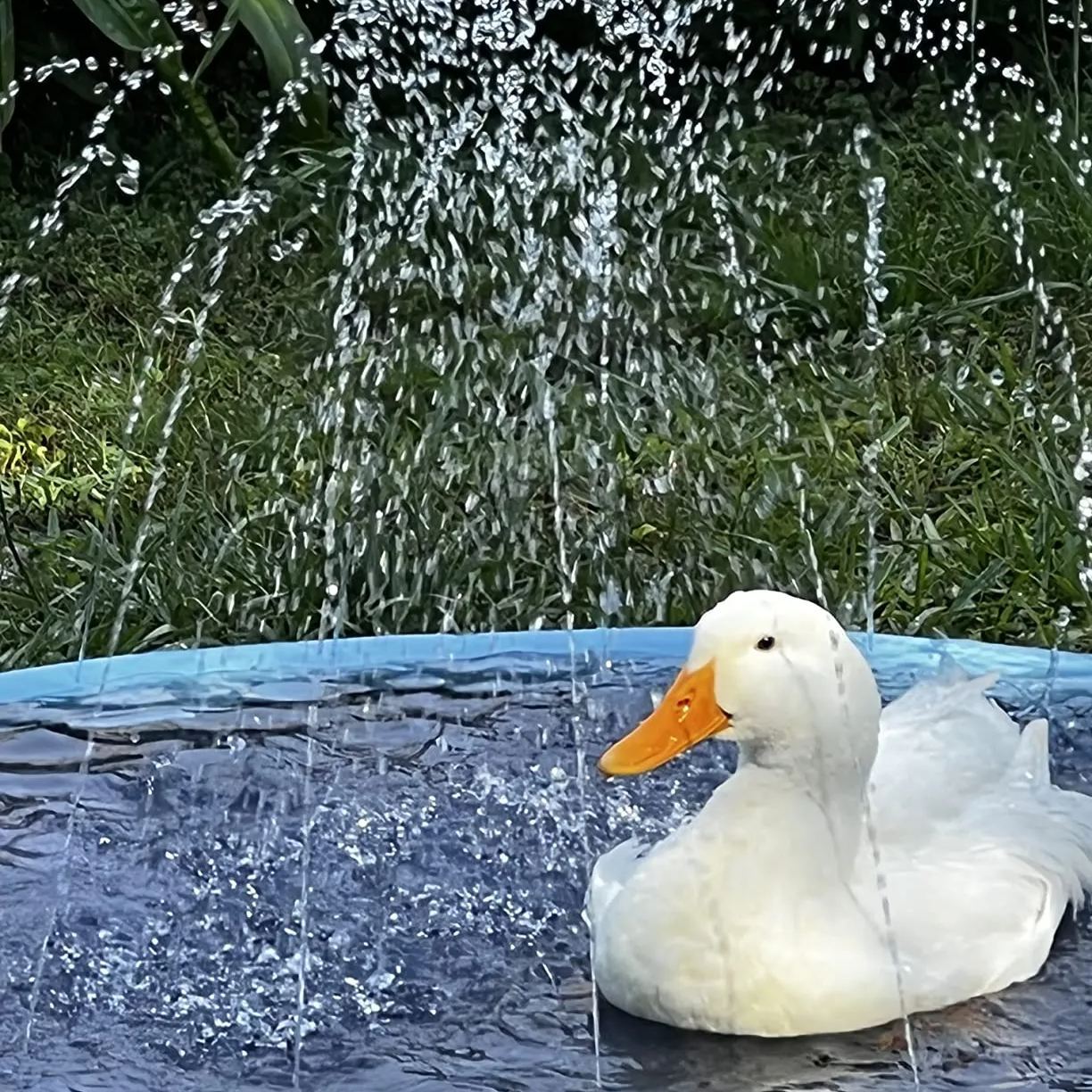 Non-slip Splash Pad for Kids and Dogs, Thickened Splash Pool Summer Outdoor Water Toys (67 Inch, Blue)