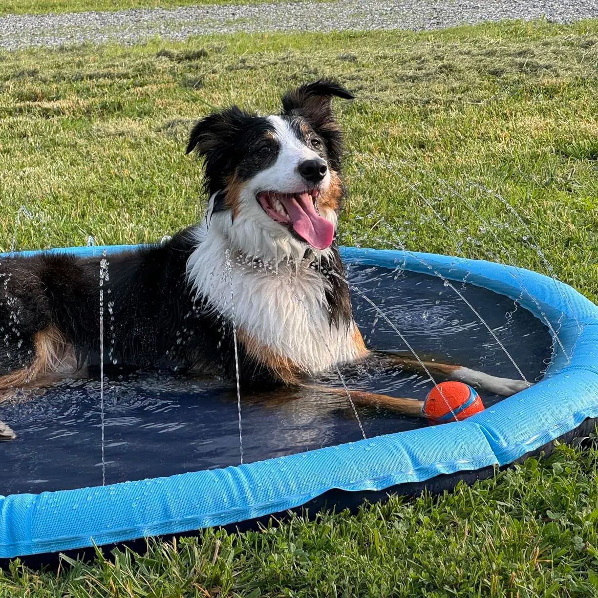 Non-slip Splash Pad for Kids and Dogs, Thickened Splash Pool Summer Outdoor Water Toys（Summer Flash Sale）