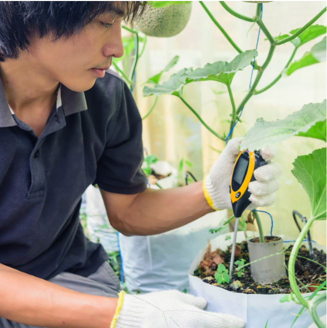 Aparat Digital de Analiza a Solului 4 in 1, pH, Umiditate, Luminozitate, Temperatura