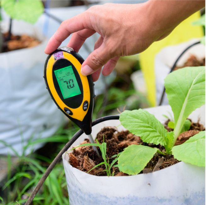 Aparat Digital de Analiza a Solului 4 in 1, pH, Umiditate, Luminozitate, Temperatura