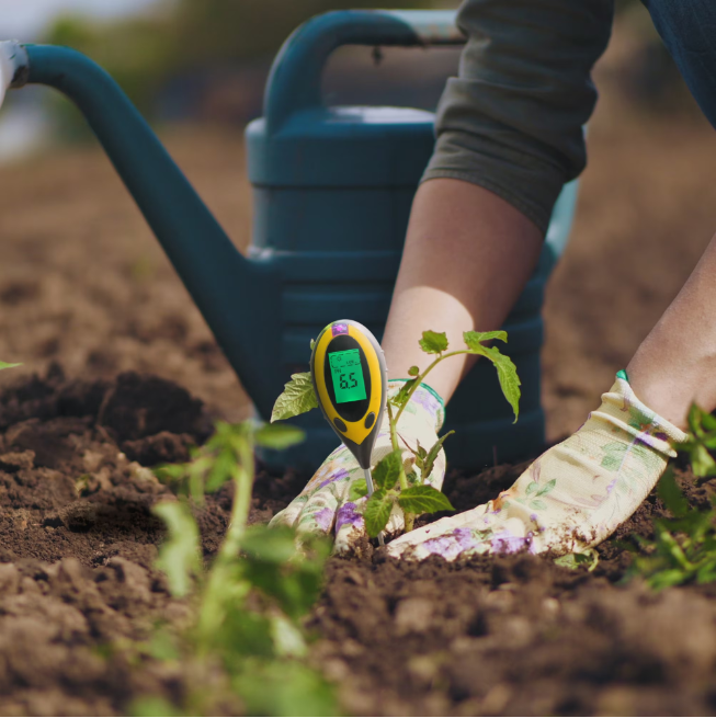 Aparat Digital de Analiza a Solului 4 in 1, pH, Umiditate, Luminozitate, Temperatura