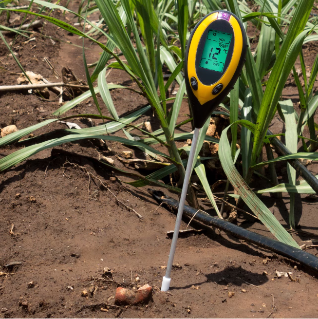 Aparat Digital de Analiza a Solului 4 in 1, pH, Umiditate, Luminozitate, Temperatura