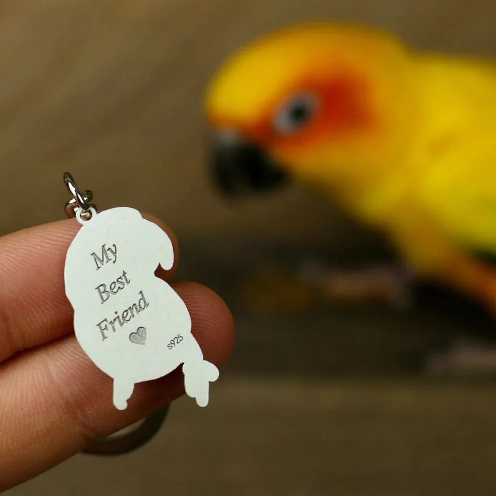 🐶Colar personalizado com foto de animal de estimação