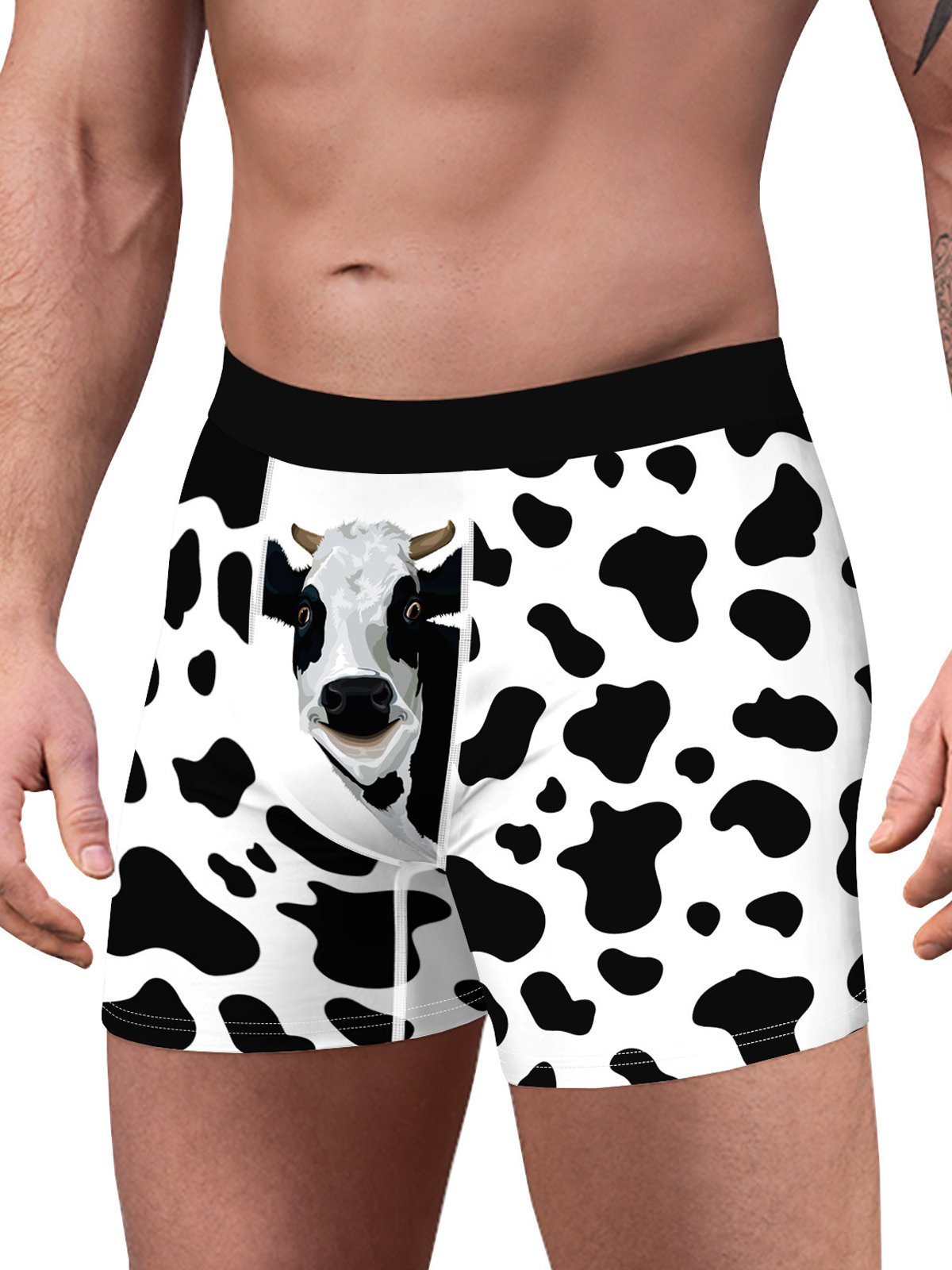 Amelolo Vintage Elephant Print Men's Boxer Briefs Swim Shorts