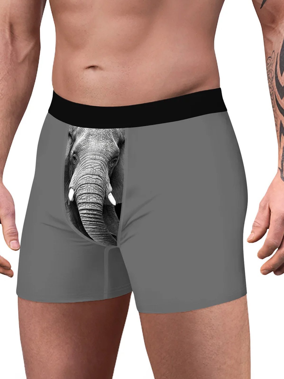 Amelolo Vintage Elephant Print Men's Boxer Briefs Swim Shorts