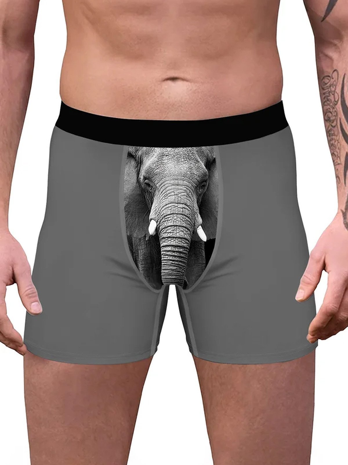 Amelolo Vintage Elephant Print Men's Boxer Briefs Swim Shorts
