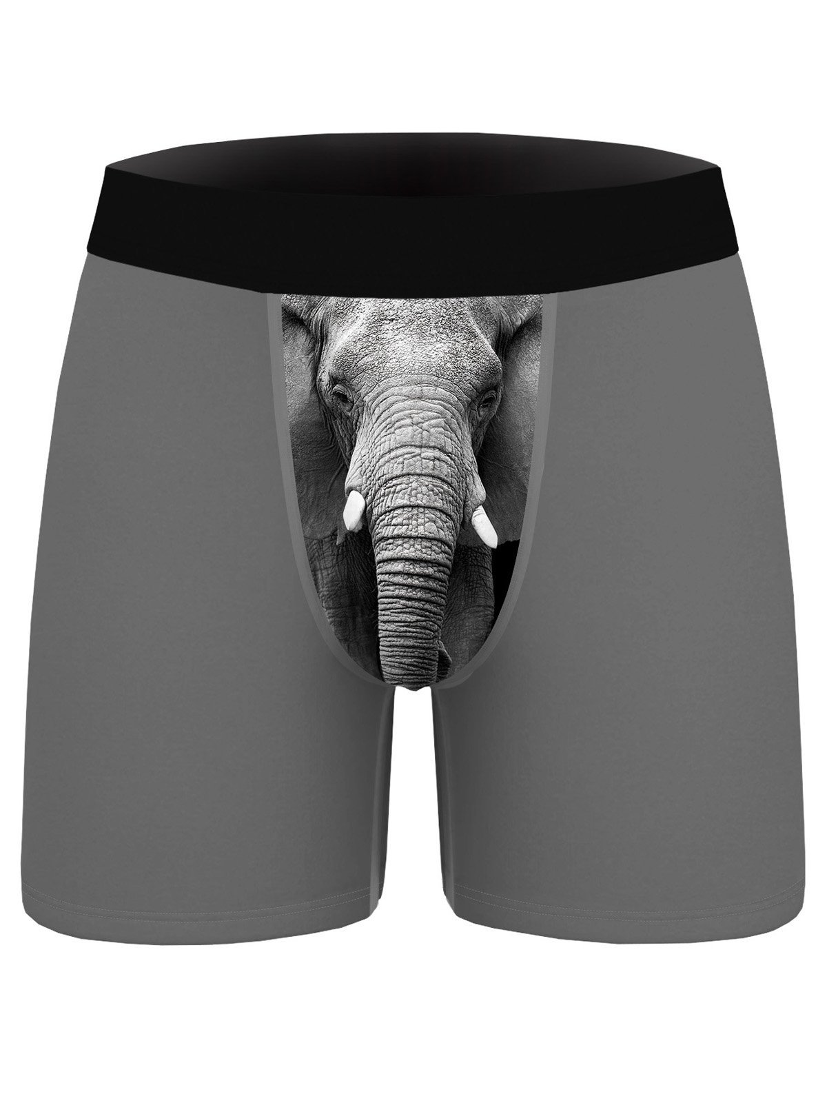 Amelolo Vintage Elephant Print Men's Boxer Briefs Swim Shorts