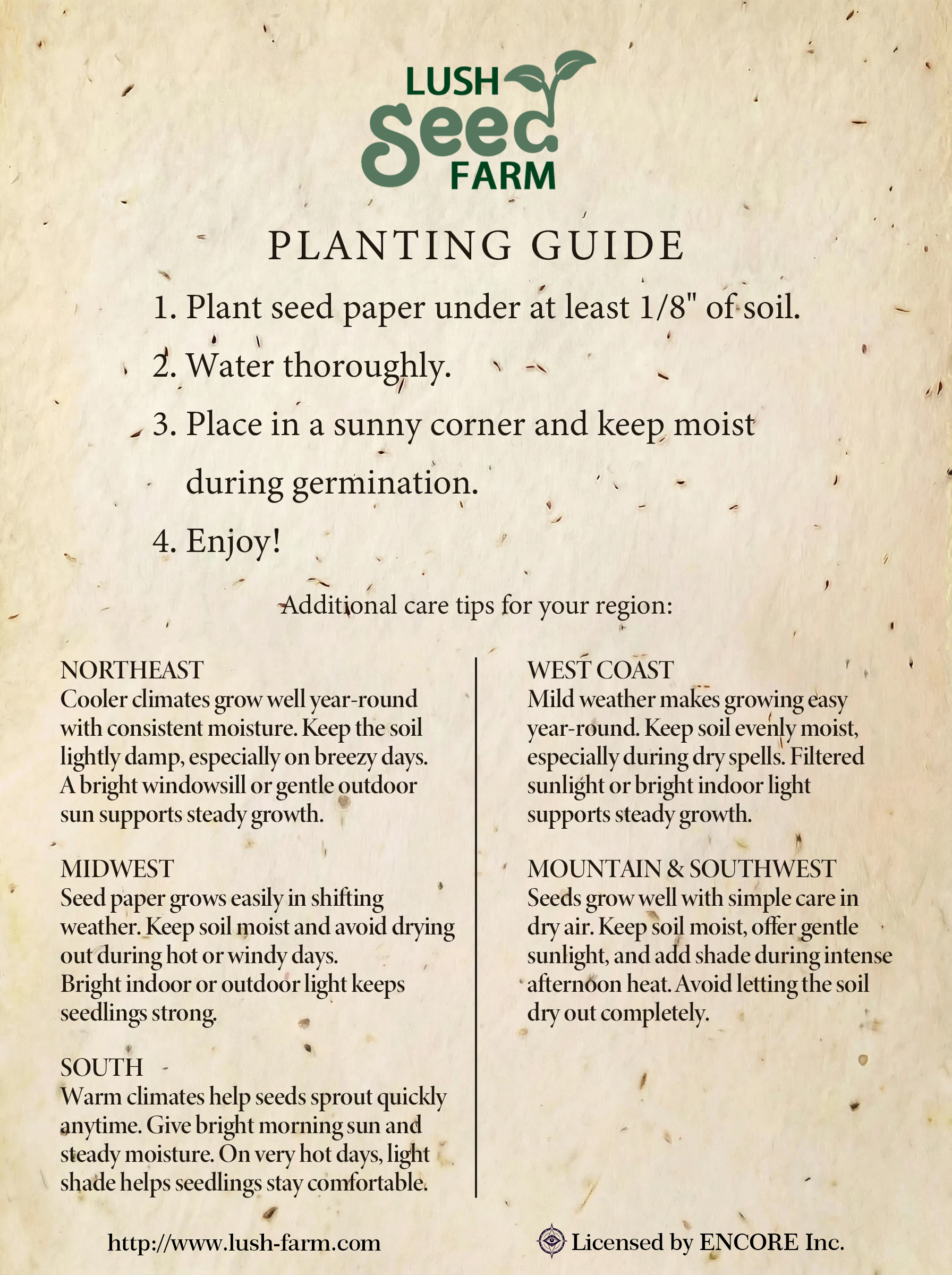 ✨Black Friday Sale 70% OFF🌱Plantable Seed Cards Set | Easy to Grow Year-Round