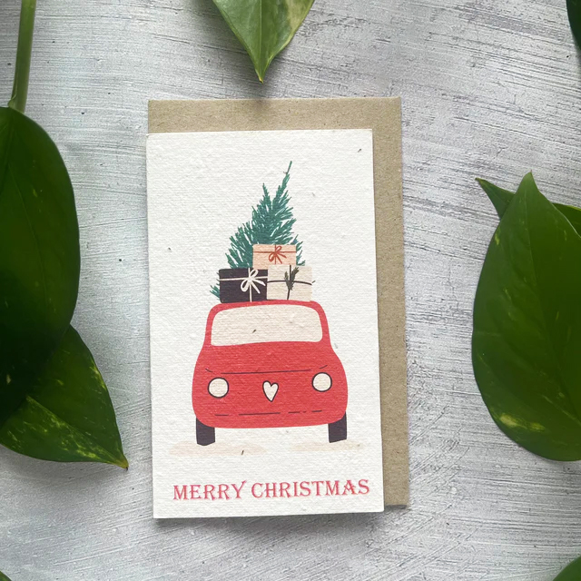 🎄Buy 5 Get 5 Free Today🌱 Christmas Plantable Seed Cards