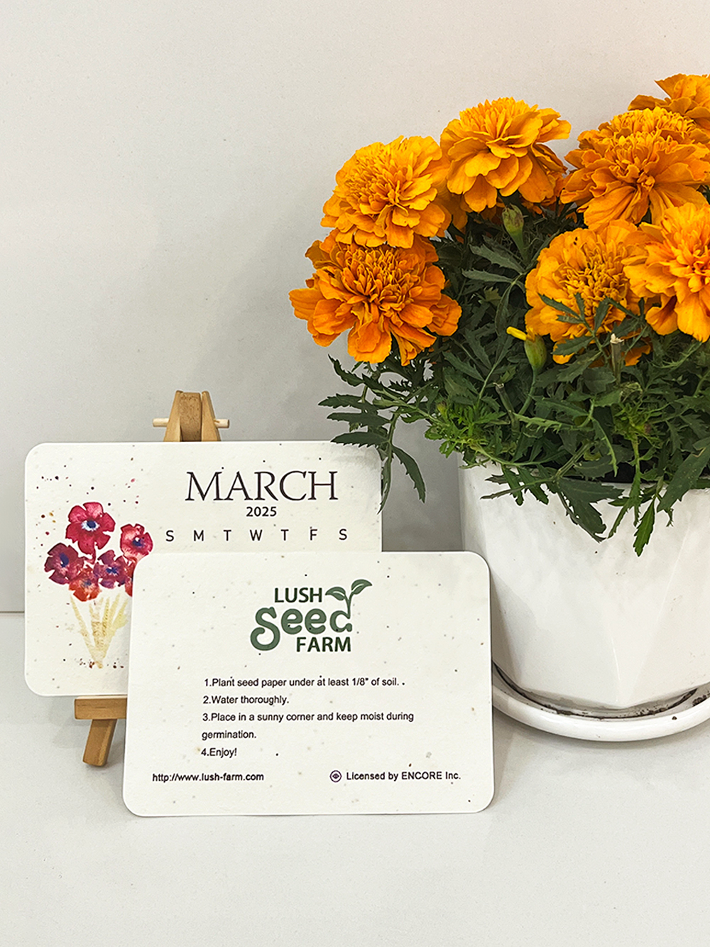 ✨Last Day 60% OFF🌱Eco-Friendly Plantable Love Seed Calendar 2025