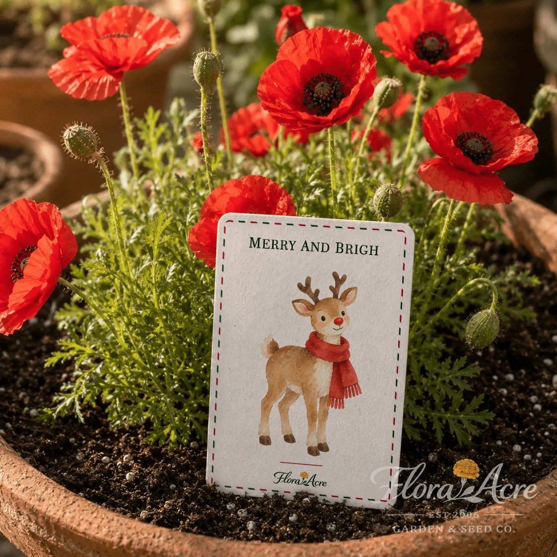 Flora Acre plantable botanical seed card designs