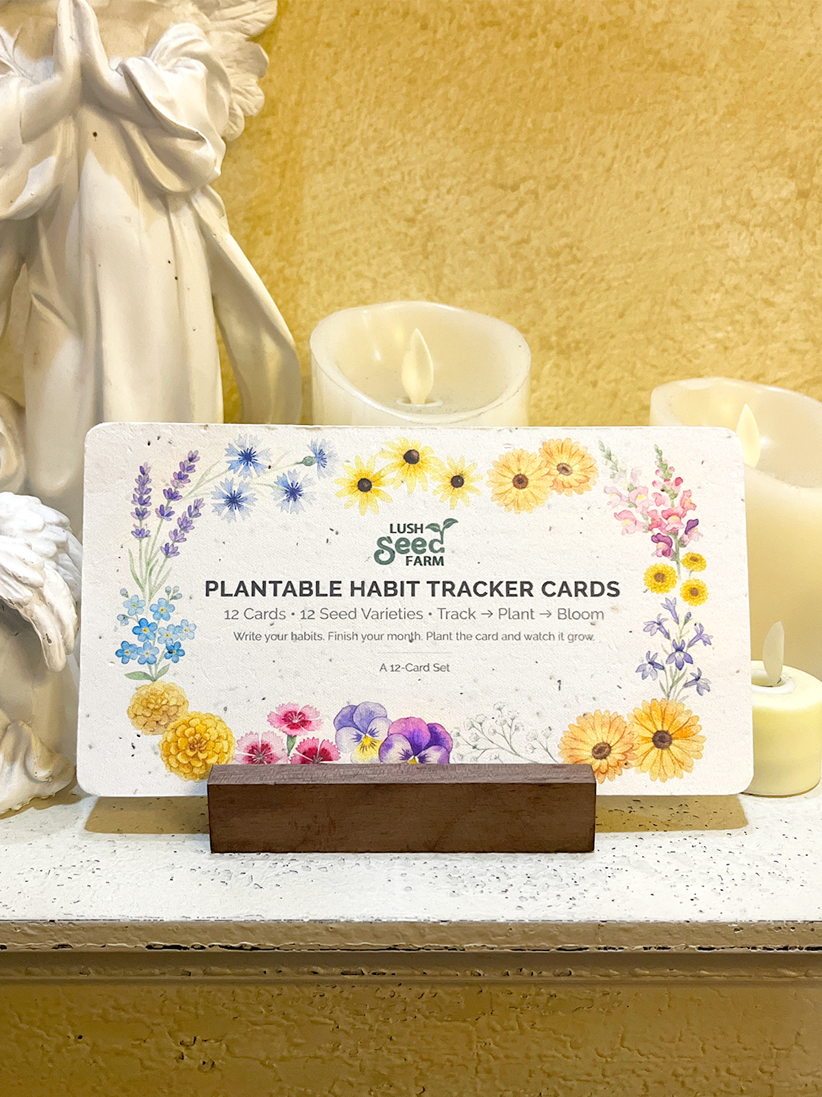 ✨New Arrivals 49% OFF Today🌱Plantable Habit Tracker Cards