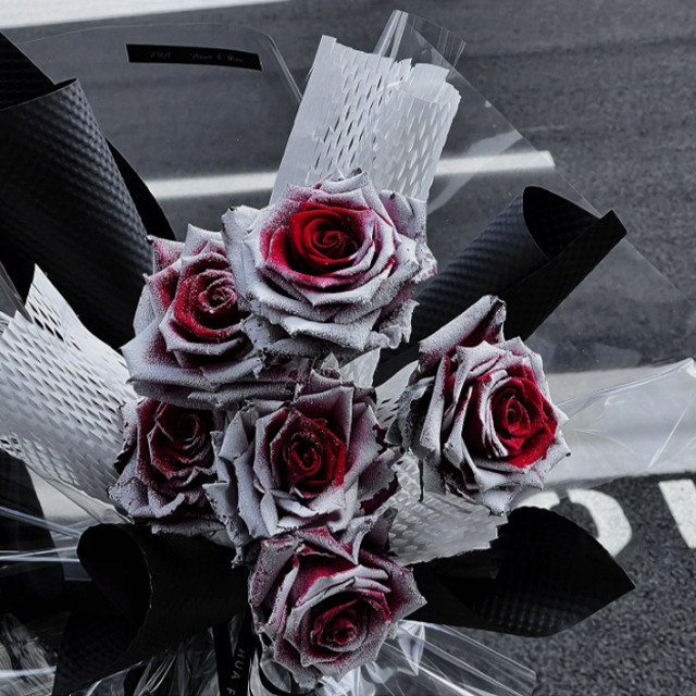 ❄️Falling Snow Thorns Red Rose Seeds