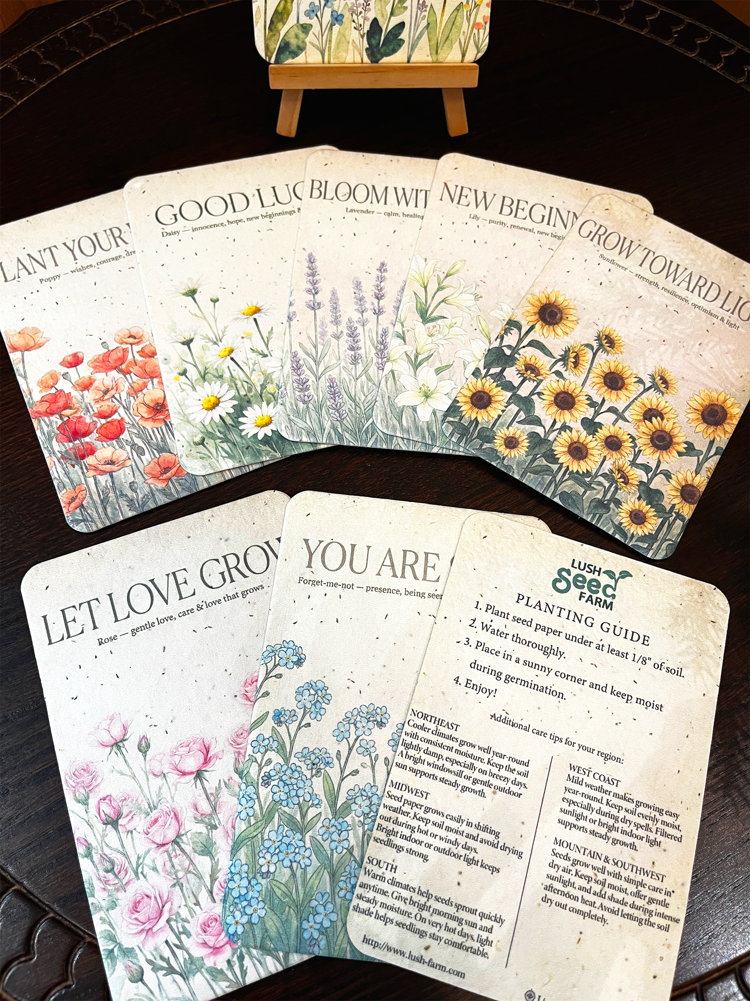✨Black Friday Sale 70% OFF🌱Plantable Seed Cards Set | Easy to Grow Year-Round
