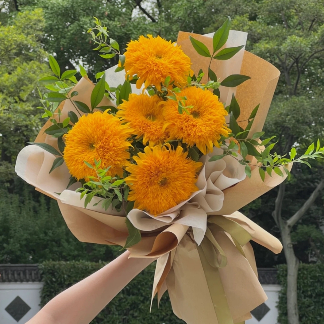 Teddy Bear Sunflower – Your Garden’s Radiant All-Season Charm 🌻