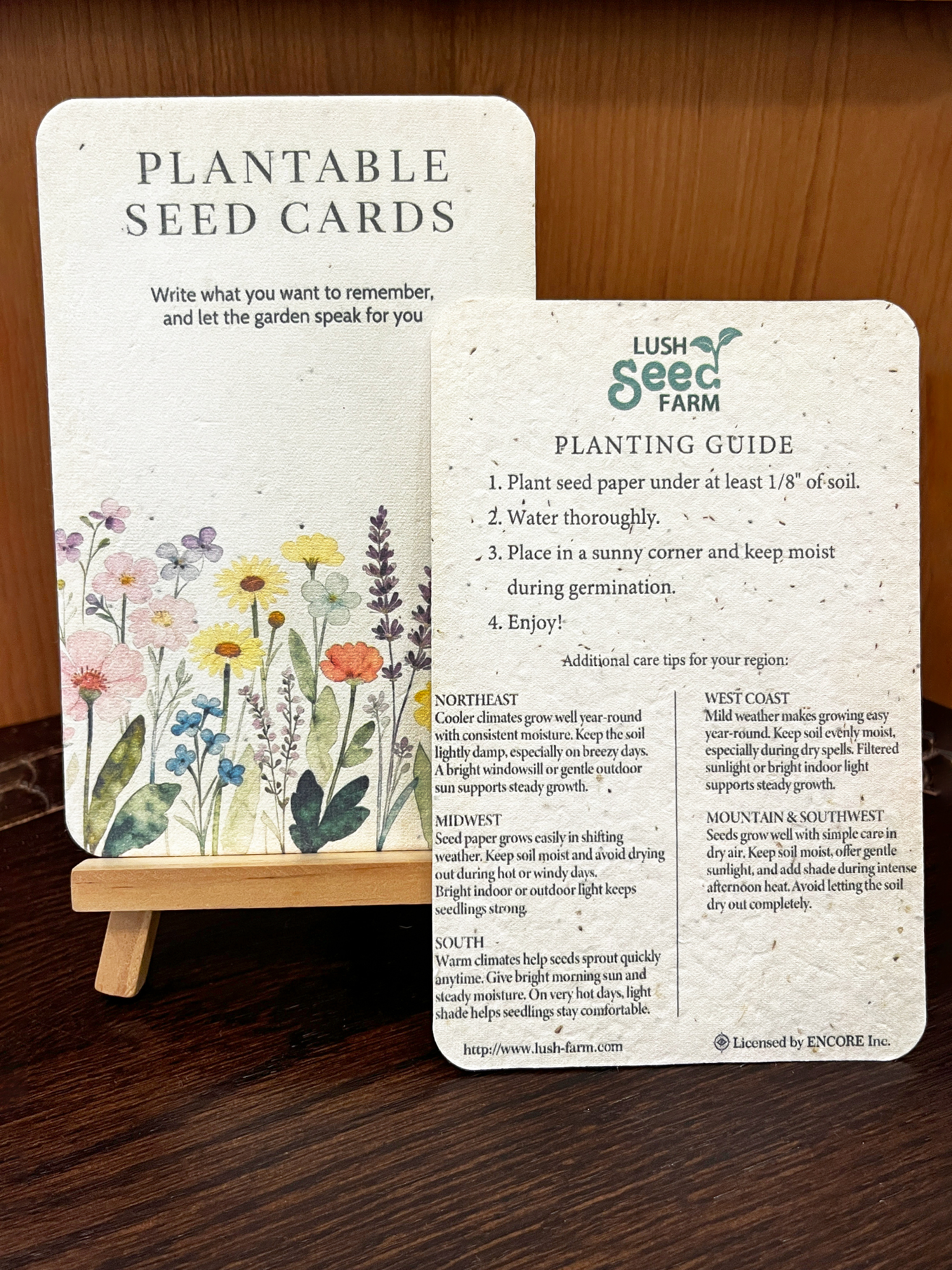 ✨Black Friday Sale 70% OFF🌱Plantable Seed Cards Set | Easy to Grow Year-Round