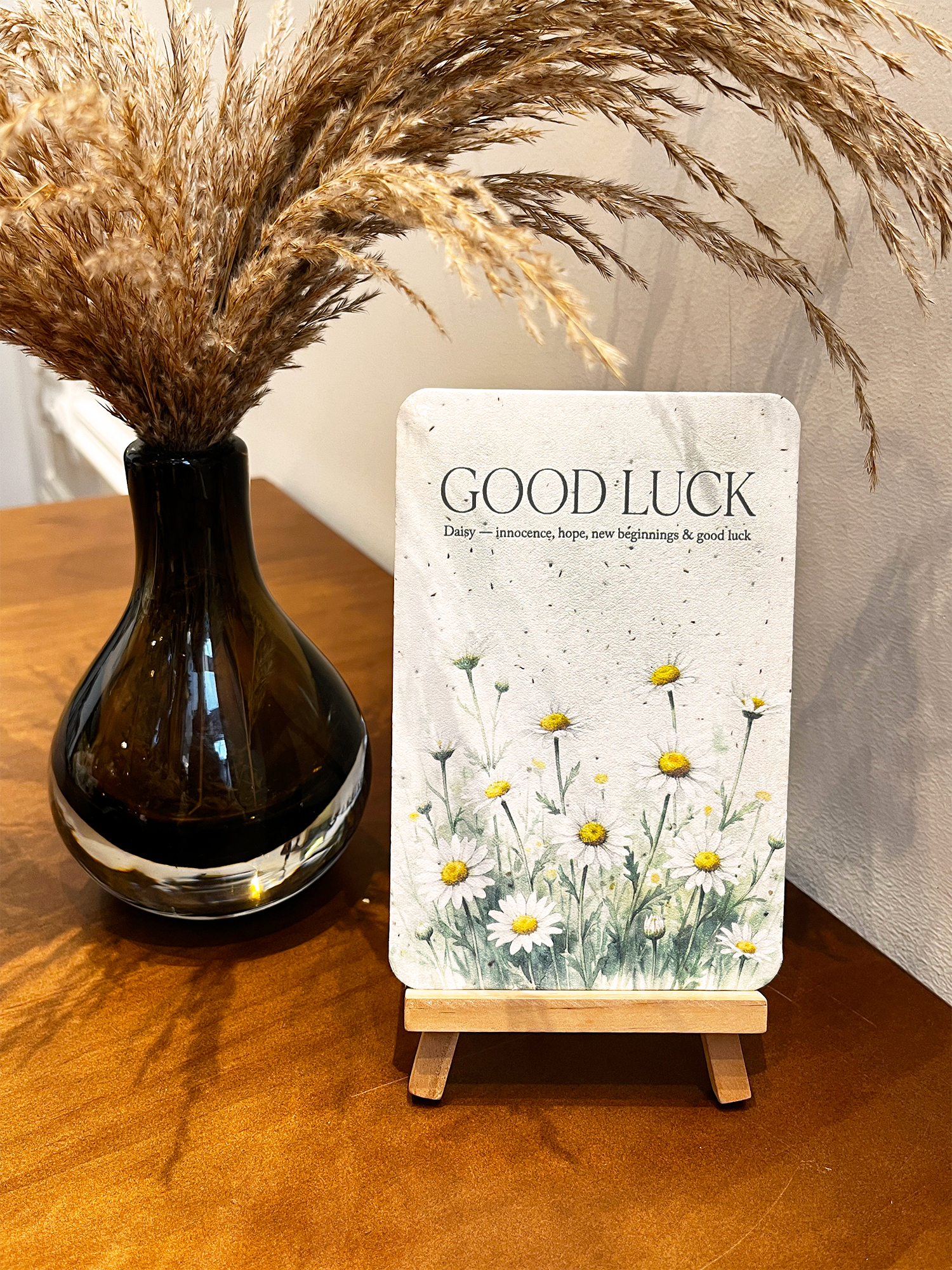 ✨Black Friday Sale 70% OFF🌱Plantable Seed Cards Set | Easy to Grow Year-Round