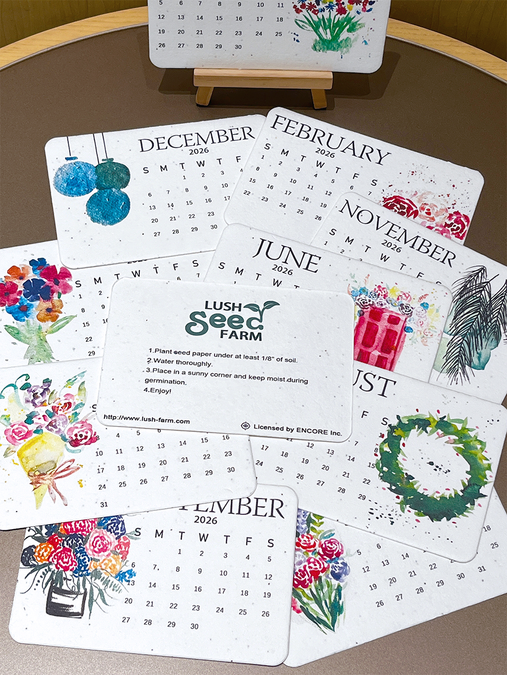✨Early Black Friday Sale 70% OFF🌱Eco-Friendly Plantable Seed Calendar 2026