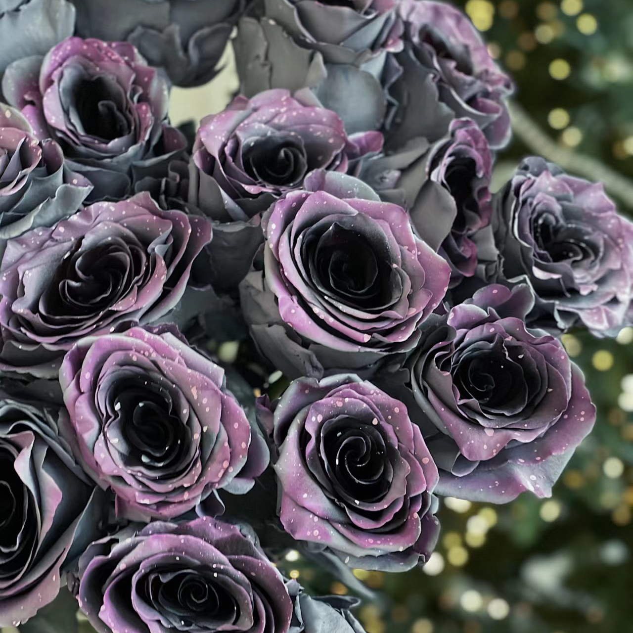 🌹CLIMBING ROSE SEEDS - LUCK RISES