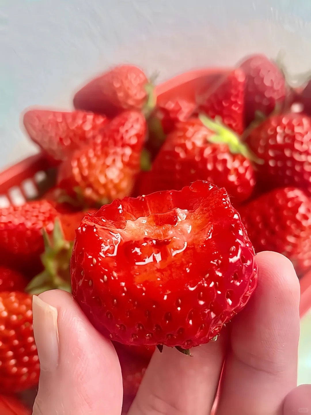 All-season Strawberry Seeds 🍓EverBloom Berries