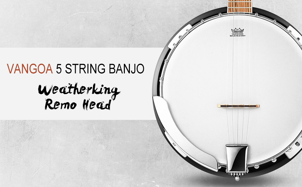 5 string banjo