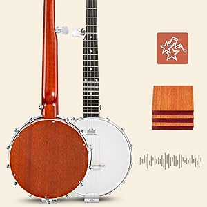 mahogany banjo