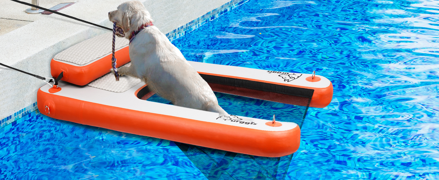 dog pool ramp