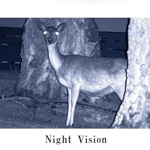 night vision