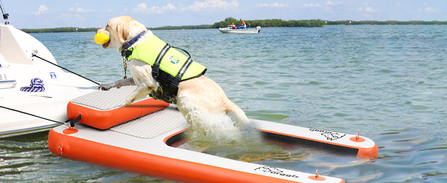 dog boat ramp