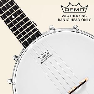 Banjo with remo head