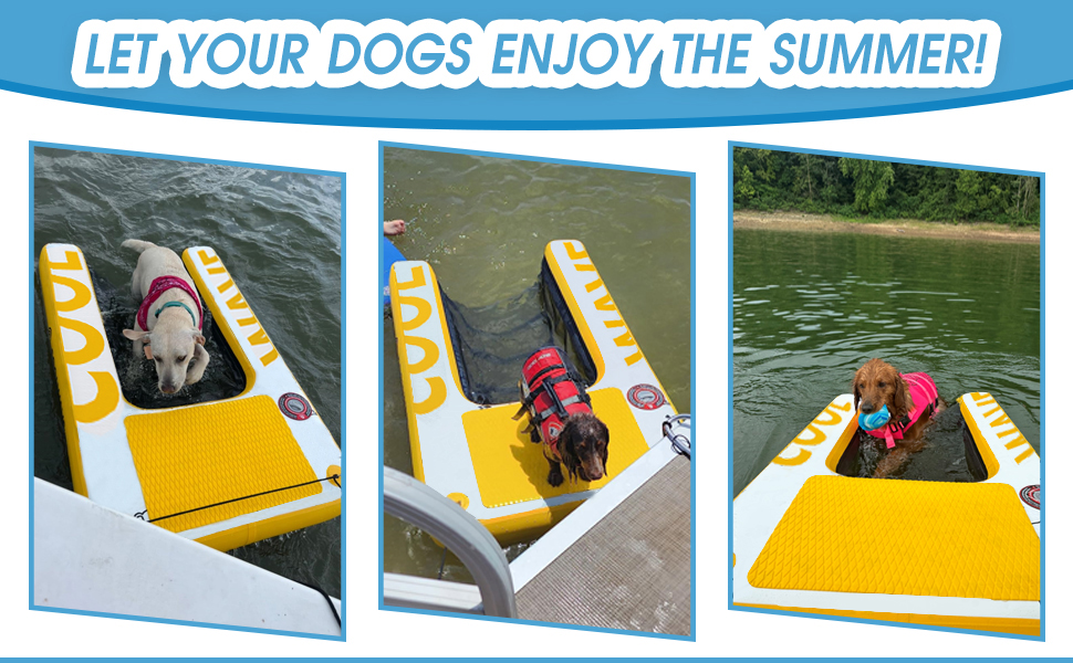 dog boat ladder