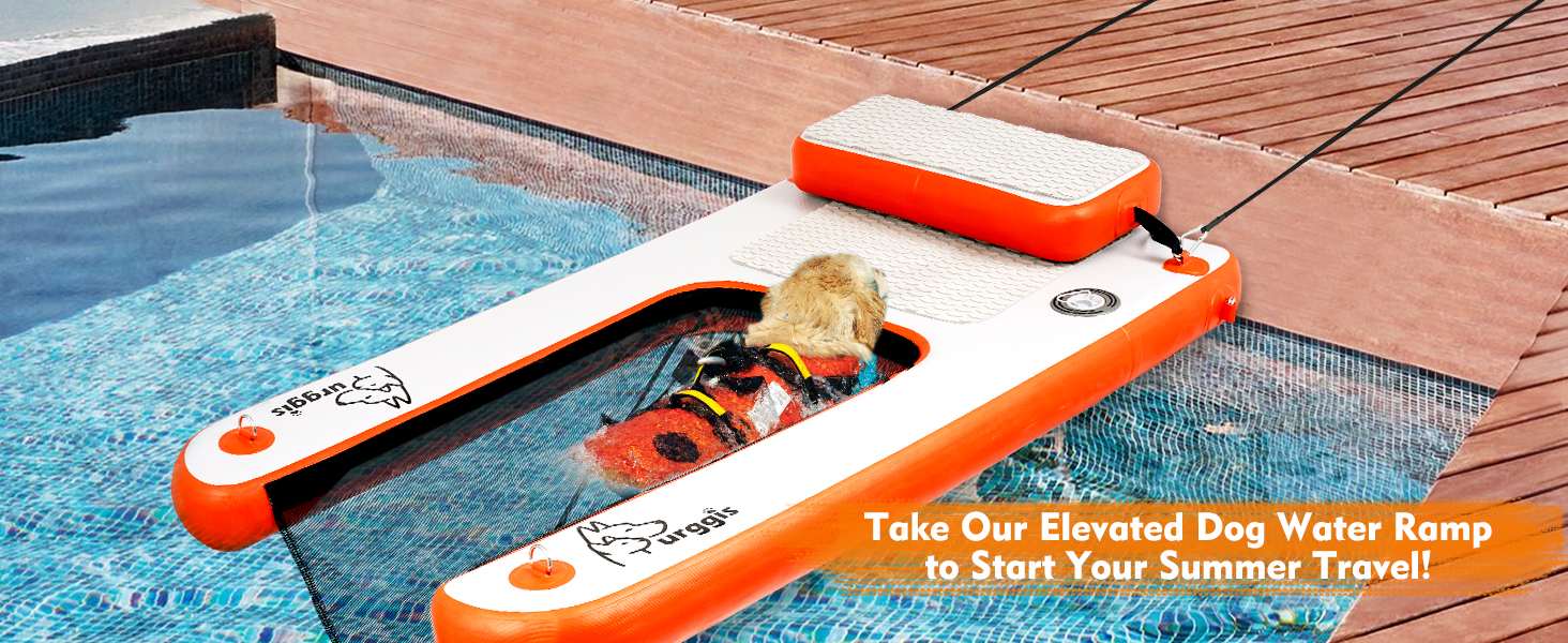 Take Our Elevated Dog Water Ramp to Start Your Summer Travel!