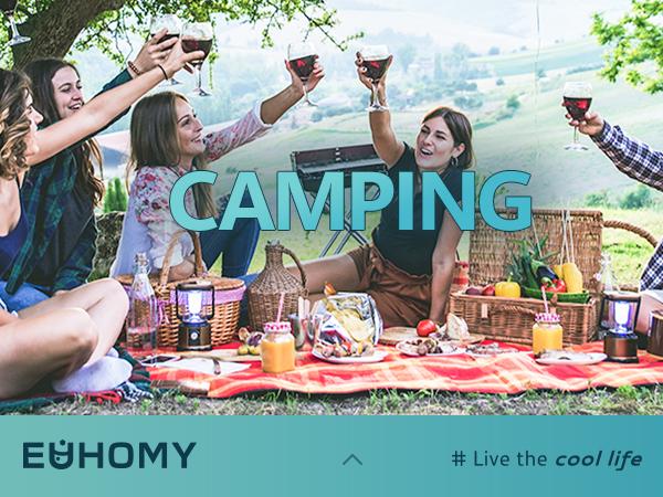 Product Introduction of EUHOMY 12 Volt Refrigerator,26QT(25L) Portable Refrigerator Freezer(-4℉~68℉),12V Car Fridge Cooler with 12/24V DC & 110-220V AC,Compressor Electric Cooler for Camping,RV,Travel,Truck,Boat,Home. 3