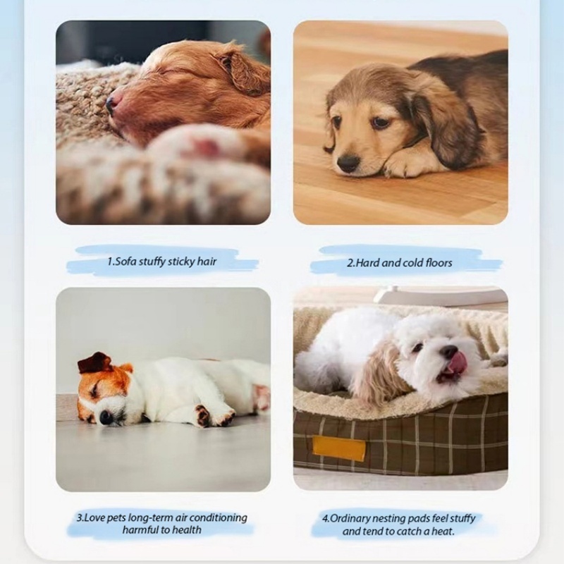 Pet Cat & Dog Cooler Pad