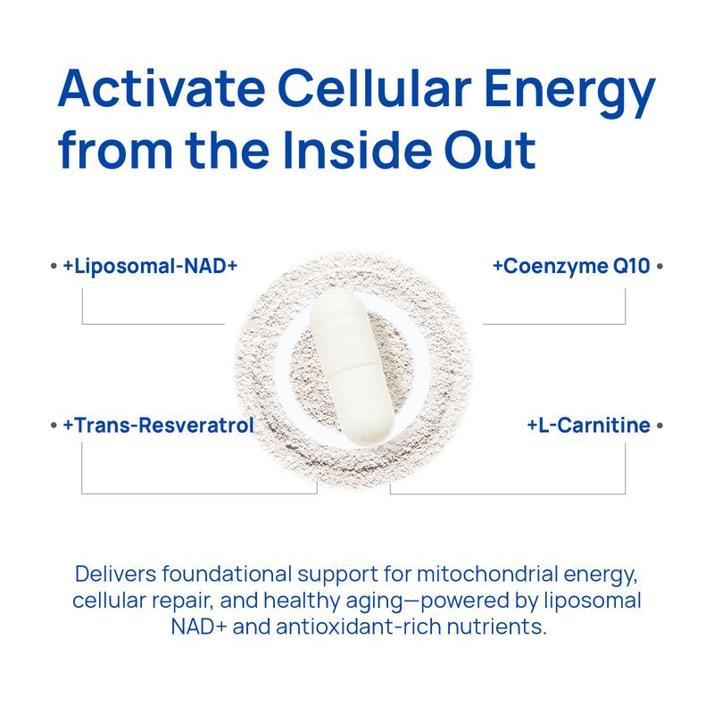 Selerb NAD+ Supplement for Men – With  Liposomal-NAD+,CoQ10, L-Carnitine, L-Arginine, Maca & Ashwagandha – Energy, Circulation & Prostate Support – 60 Capsules