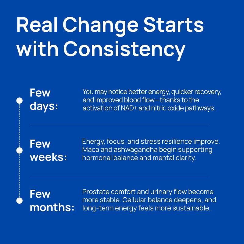 Selerb NAD+ Supplement for Men – With  Liposomal-NAD+,CoQ10, L-Carnitine, L-Arginine, Maca & Ashwagandha – Energy, Circulation & Prostate Support – 60 Capsules