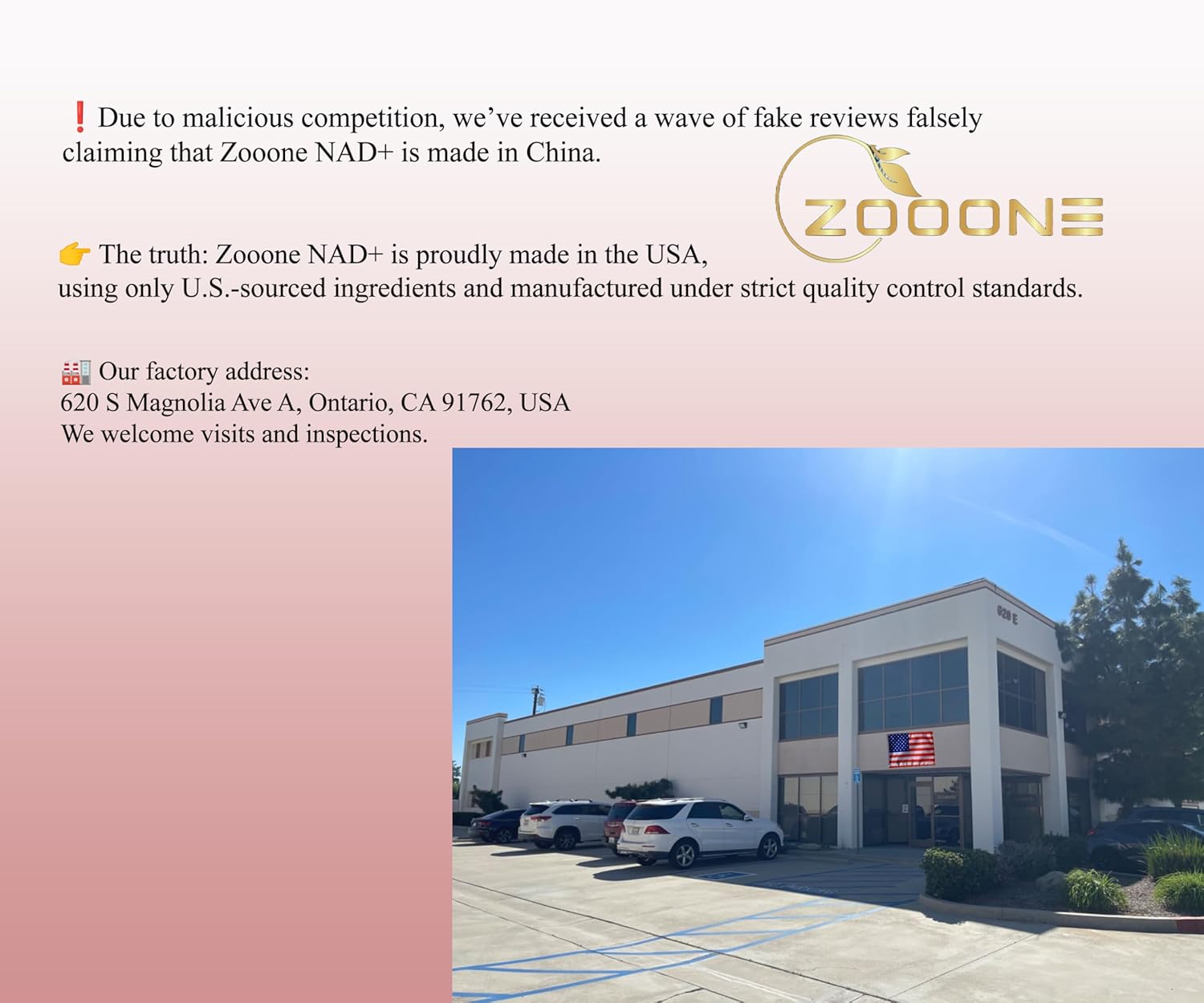 30PCS ZOOONE NR1000 - NAD+ Berry Flavor Drink Mix For Skin Aging Support Energy