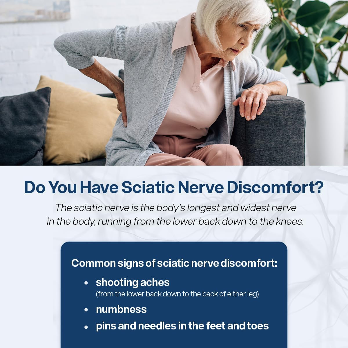 SciatiEase Sciatic Nerve Health Support Supplement - 120 Capsules