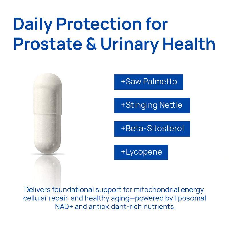 Selerb NAD+ Supplement for Men – With  Liposomal-NAD+,CoQ10, L-Carnitine, L-Arginine, Maca & Ashwagandha – Energy, Circulation & Prostate Support – 60 Capsules