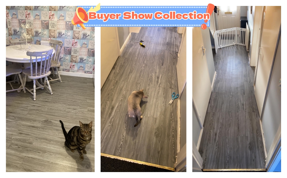 Buyer Show Collection