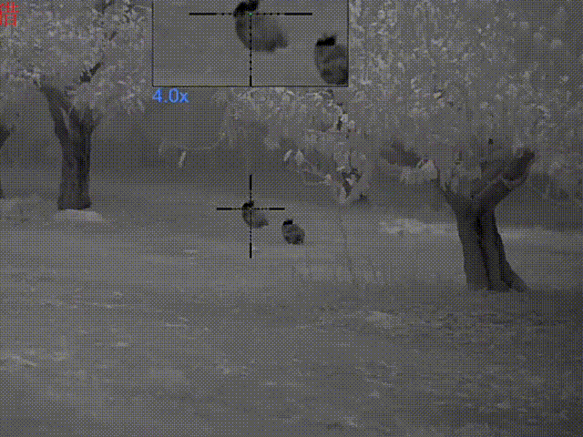 1724914152517276.gif 动图3.gif