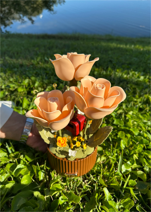 Blooming Roses