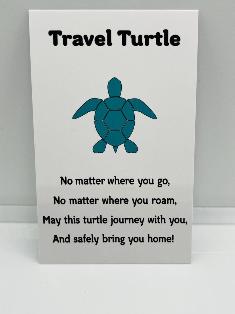 🎁🐢LAST DAY 49% OFF - Travel Turtle Key chain